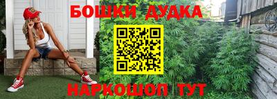 эйфоретик Ставрополь
