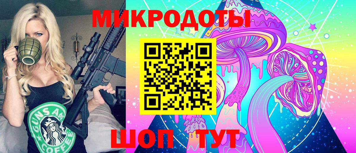 Нерюнгри  Псилоцибиновые грибы MAGIC MUSHROOMS  Вход с VPN  Псилоцибиновые грибы прущие грибы 
