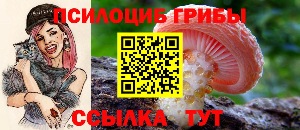 МЕТАДОН Нерюнгри